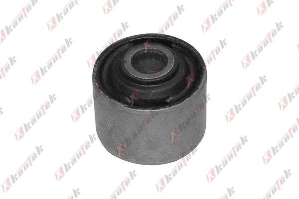 Bushing, axle bracket (AU-BS017)