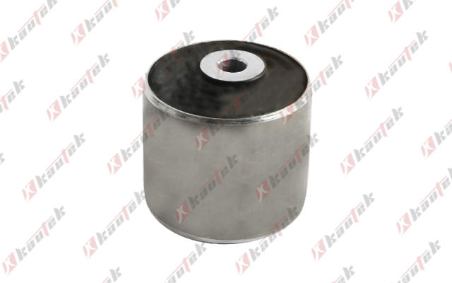 Mounting, control/trailing arm (BM-BS184)