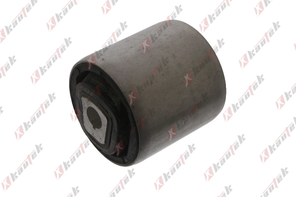 Mounting, control/trailing arm (BM-BS175)