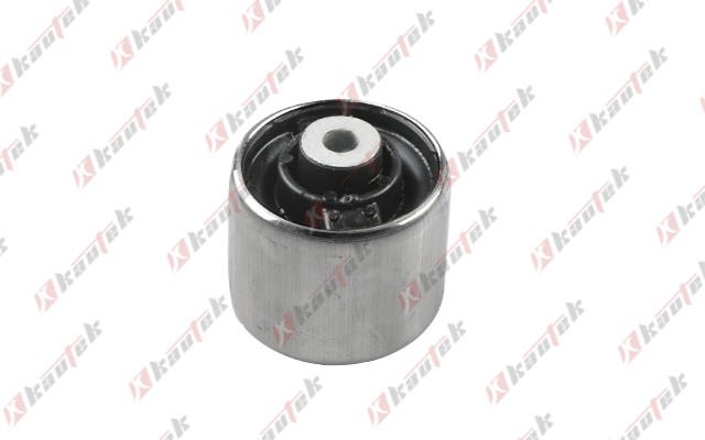 Mounting, control/trailing arm (AU-BS133)