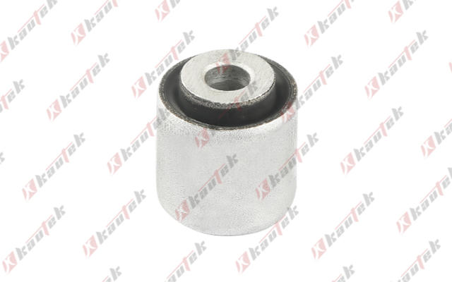 Mounting, control/trailing arm (BM-BS189)