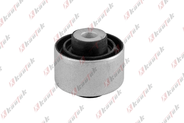 Mounting, control/trailing arm (BM-BS127)
