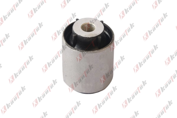 Mounting, control/trailing arm (BM-BS165)