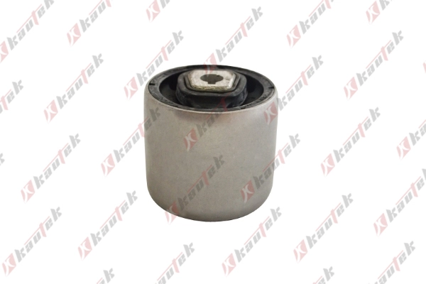Mounting, control/trailing arm (BM-BS091)