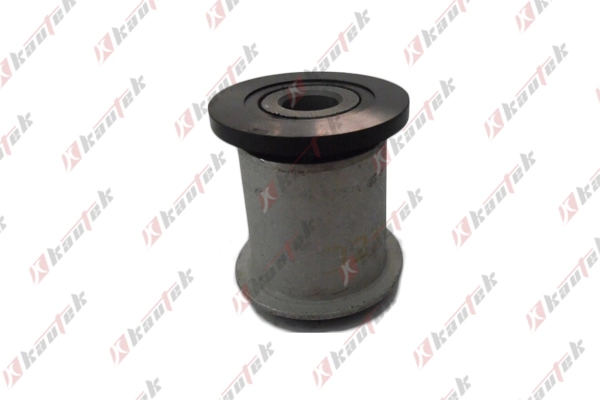 Mounting, control/trailing arm (NI-BS028)