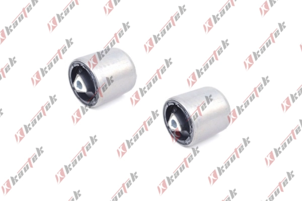Mounting, control/trailing arm (BM-BS047ST)