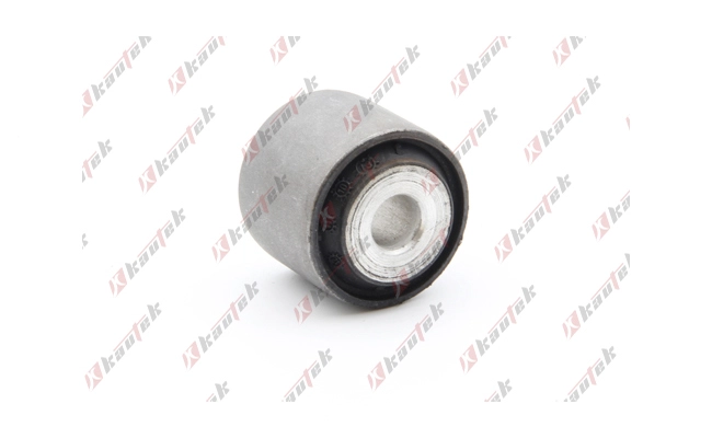 Mounting, control/trailing arm (AU-BS064)