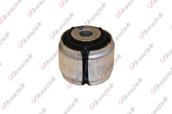 Mounting, control/trailing arm (BM-BS095)