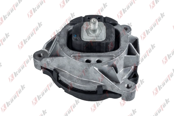 Mounting, engine (BM-EM051)