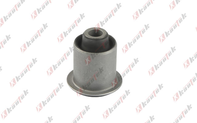 Mounting, control/trailing arm (NI-BS114)