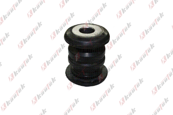 Mounting, control/trailing arm (FI-BS098)