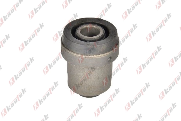 Mounting, control/trailing arm (FD-BS195)