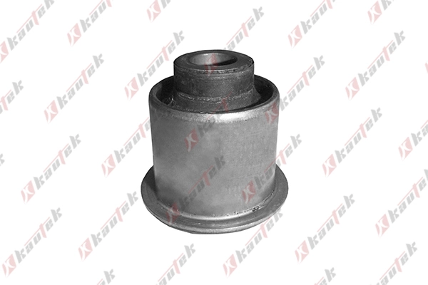 Mounting, control/trailing arm (NI-BS012)