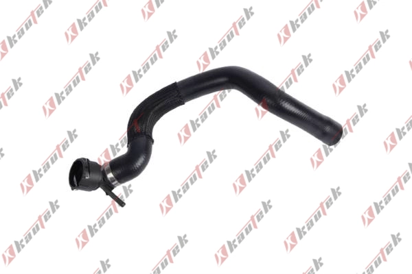 Radiator Hose (AU-RH019)