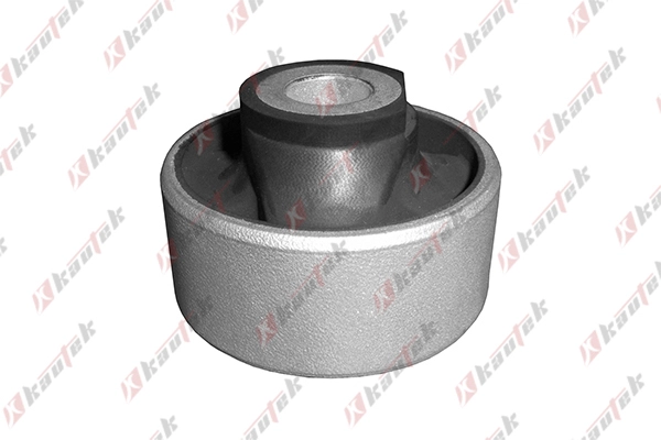 Mounting, control/trailing arm (FI-BS001)
