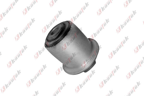 Mounting, control/trailing arm (NI-BS016)