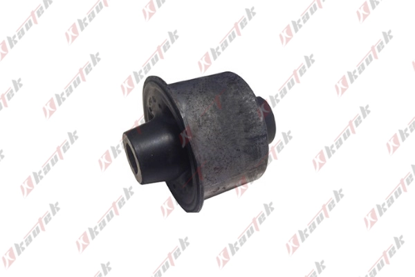 Mounting, control/trailing arm (FD-BS253)