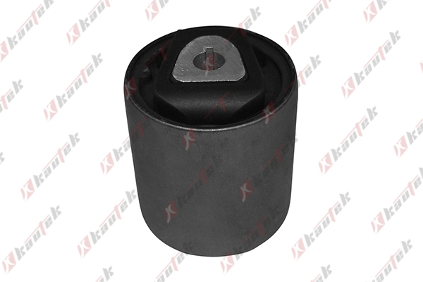 Mounting, control/trailing arm (BM-BS063)