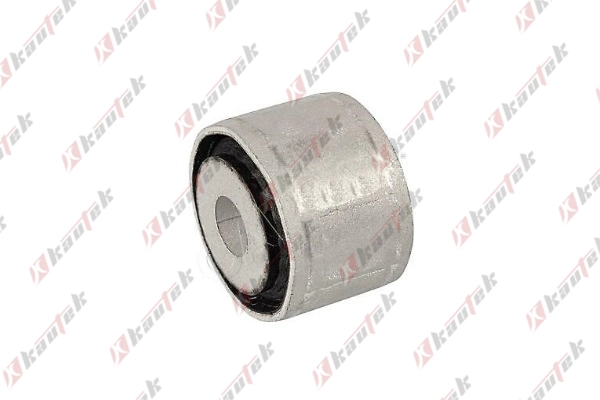 Mounting, control/trailing arm (AF-BS032)