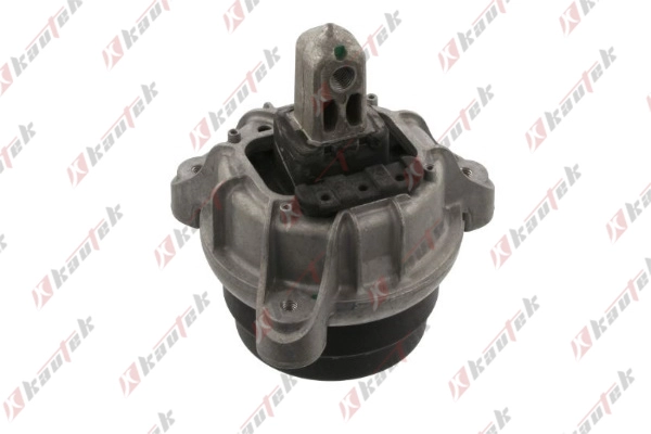 Mounting, engine (BM-EM041)