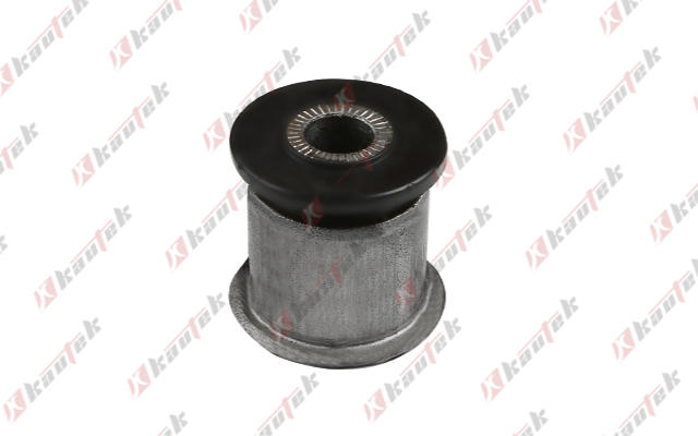 Mounting, control/trailing arm (FD-BS266)