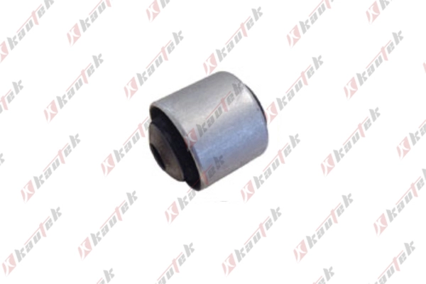 Mounting, control/trailing arm (BM-BS112)