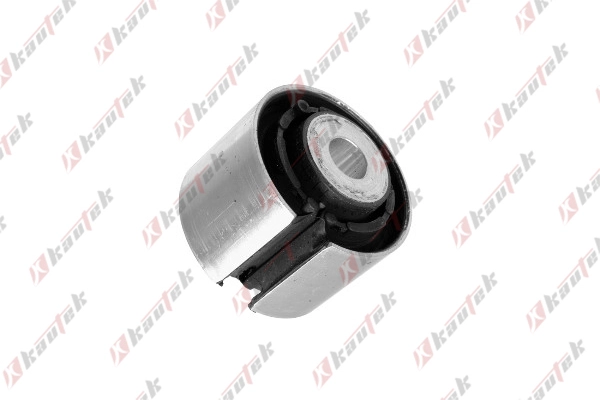 Mounting, control/trailing arm (BM-BS087)