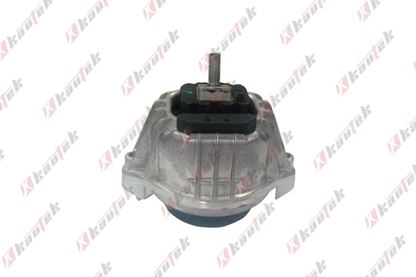 Mounting, engine (BM-EM016)