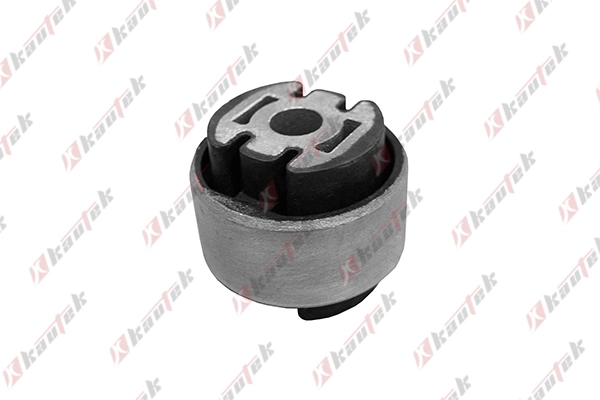 Mounting, control/trailing arm (FI-BS037)