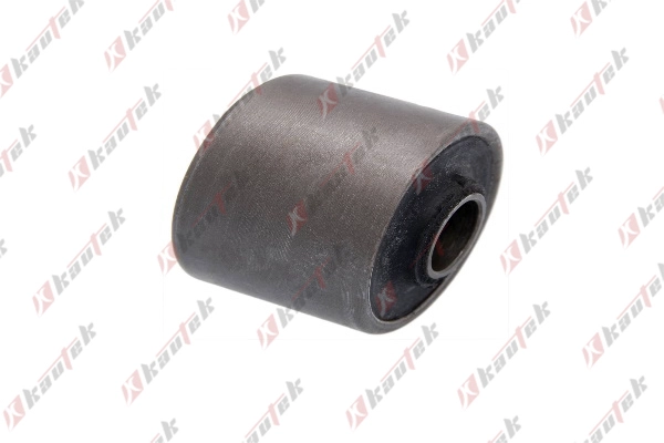 Mounting, control/trailing arm (NI-BS063)