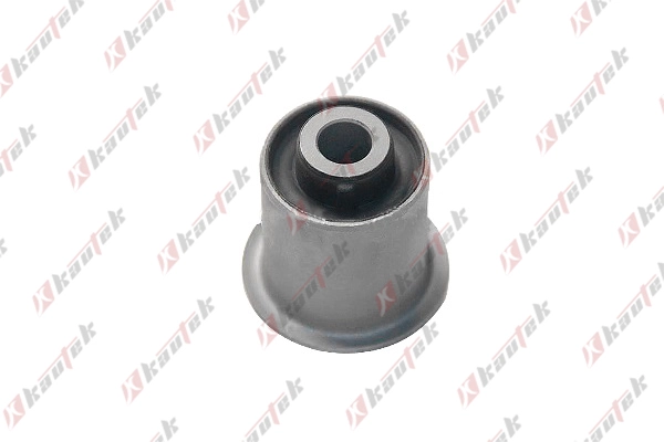 Mounting, control/trailing arm (MI-BS066)