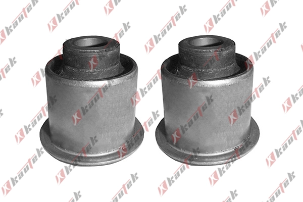 Mounting, control/trailing arm (NI-BS012ST)