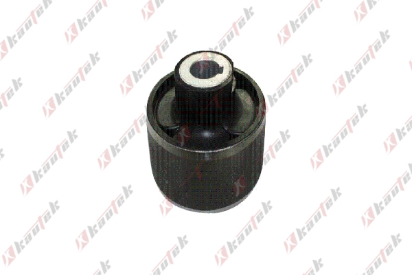 Mounting, control/trailing arm (FI-BS097)