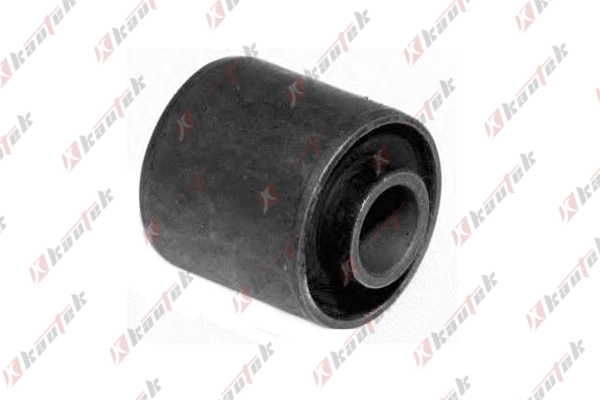 Mounting, engine (PE-BS041)
