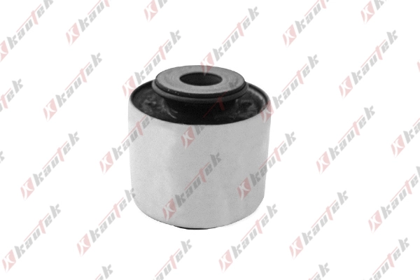 Mounting, control/trailing arm (DC-BS009)
