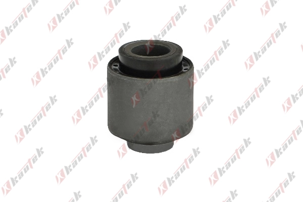 Mounting, control/trailing arm (FI-BS105)