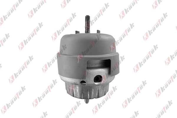 Mounting, engine (AU-EM012)