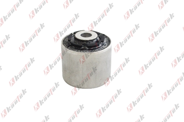 Mounting, control/trailing arm (JG-BS009)