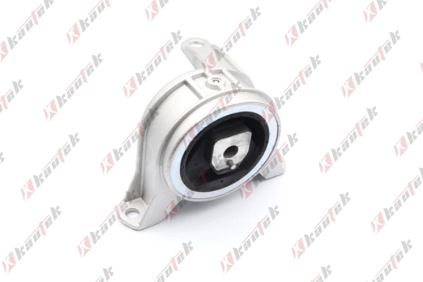 Mounting, engine (OP-EM100)