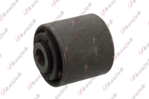 Mounting, control/trailing arm (NI-BS073)