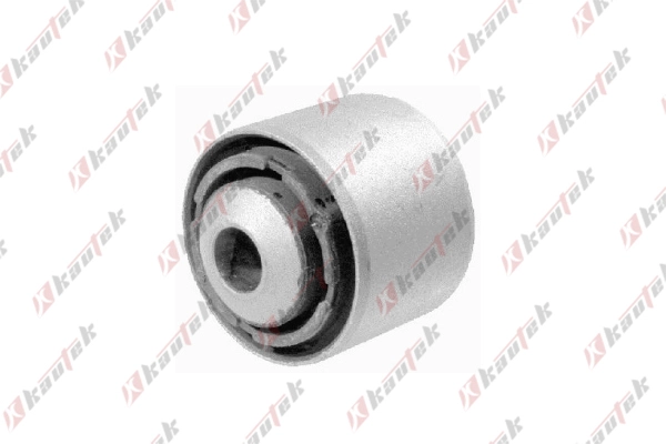 Mounting, control/trailing arm (BM-BS121)