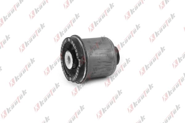 Mounting, control/trailing arm (TS-BS017)