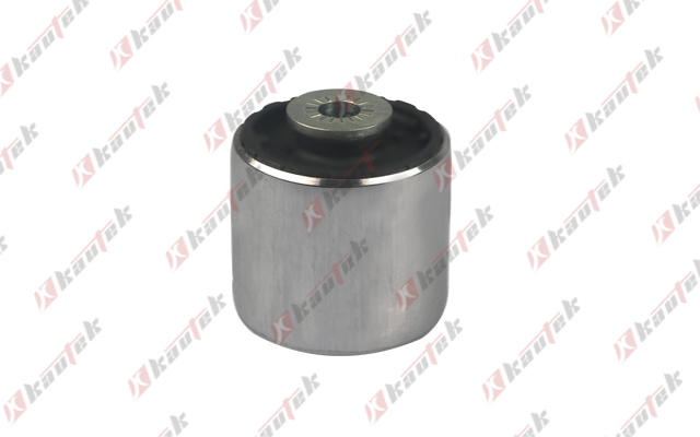 Mounting, control/trailing arm (BM-BS197)