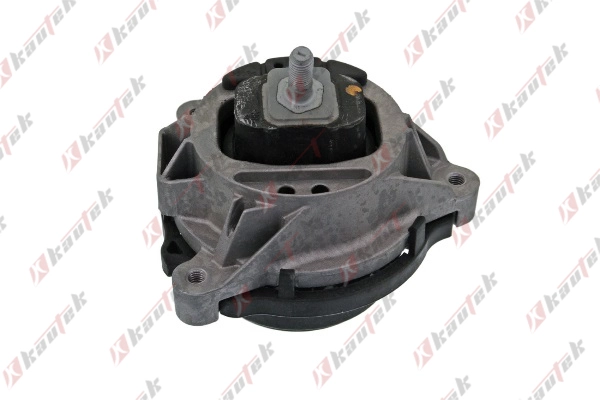 Mounting, engine (BM-EM046)