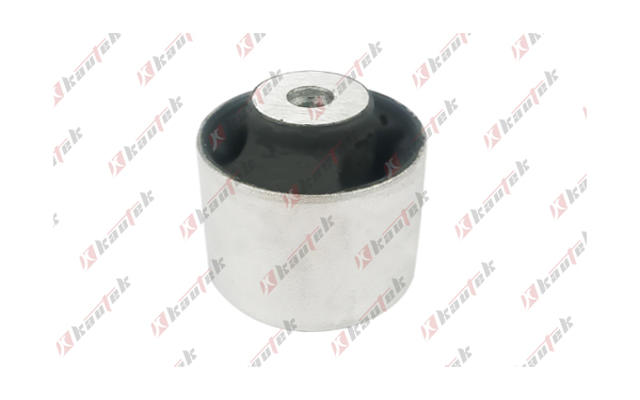 Mounting, control/trailing arm (TS-BS003)