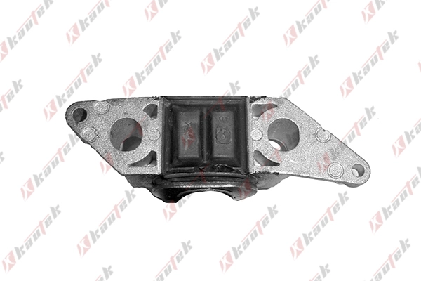 Mounting, control/trailing arm (FI-BS021)
