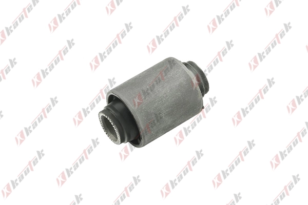 Mounting, control/trailing arm (NI-BS010)