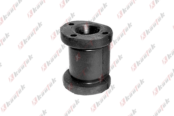 Mounting, control/trailing arm (FI-BS016)