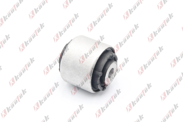 Mounting, control/trailing arm (AU-BS111)
