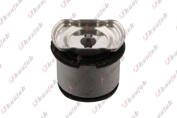 Bushing, axle bracket (AU-BS127)